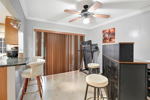 interior space featuring ceiling fan and crown molding