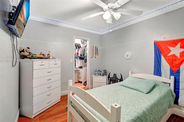 bedroom with a walk in closet, ornamental molding, ceiling fan, hardwood / wood-style floors, and a closet