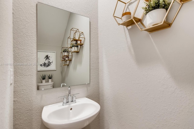 bathroom featuring toilet, a textured wall, and a sink