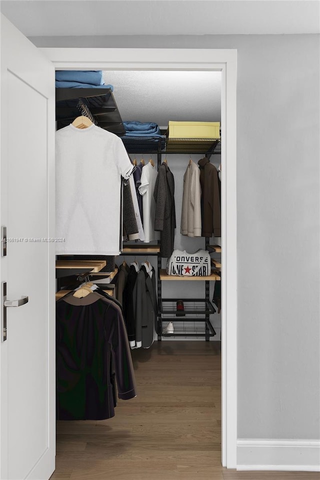 walk in closet with wood-type flooring