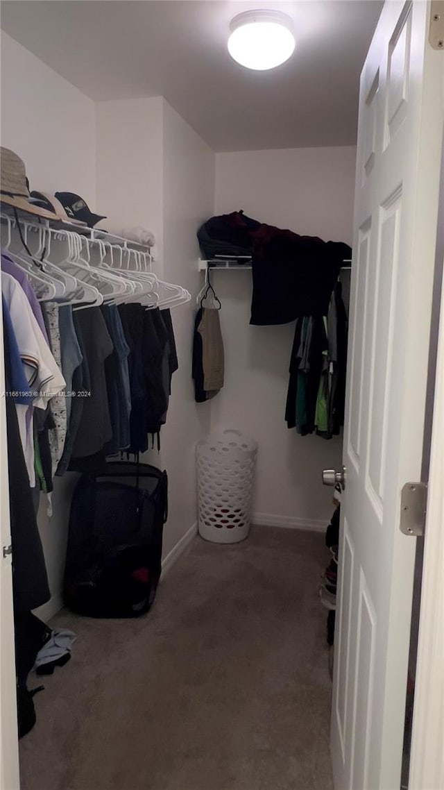 spacious closet with carpet