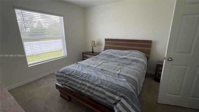 bedroom featuring carpet