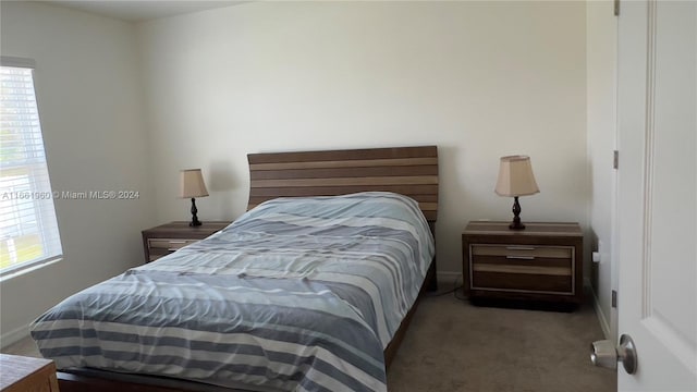 bedroom featuring carpet and multiple windows