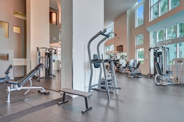 workout area with a high ceiling