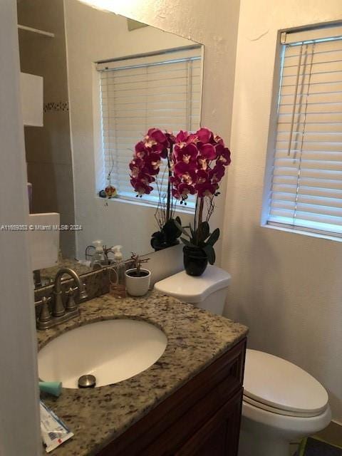 bathroom with vanity, toilet, and a wealth of natural light