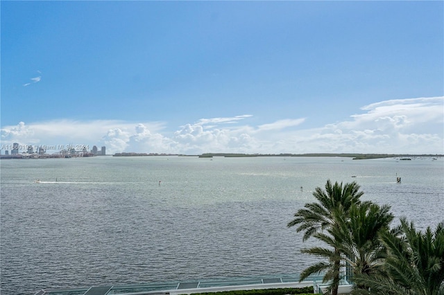 view of water feature