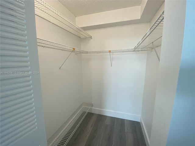 spacious closet with dark wood-type flooring