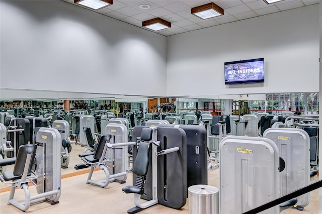 gym featuring carpet and a drop ceiling