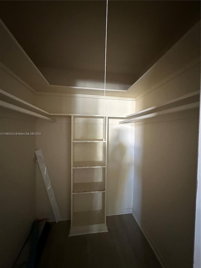 walk in closet featuring dark hardwood / wood-style floors