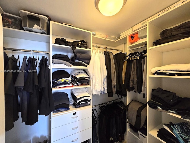 5600 Collins Ave Unit 15B, Miami Beach, FL 33140 - view of spacious closet