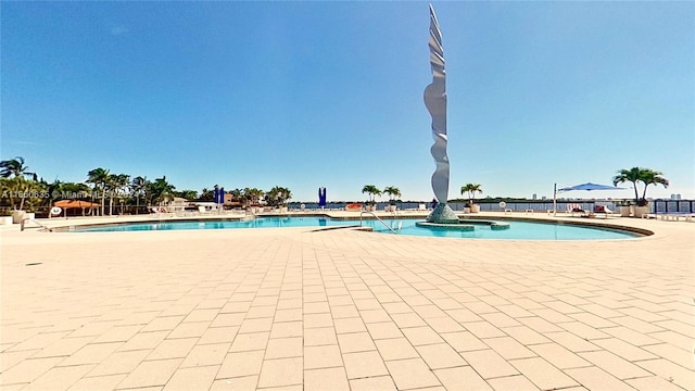 view of swimming pool with a patio