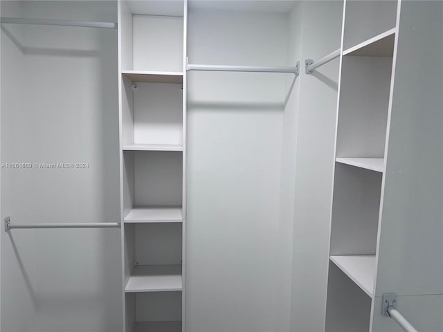 view of spacious closet