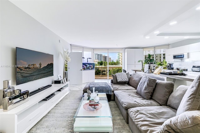 living room with expansive windows