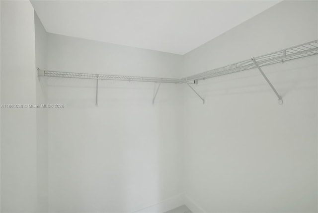 view of spacious closet