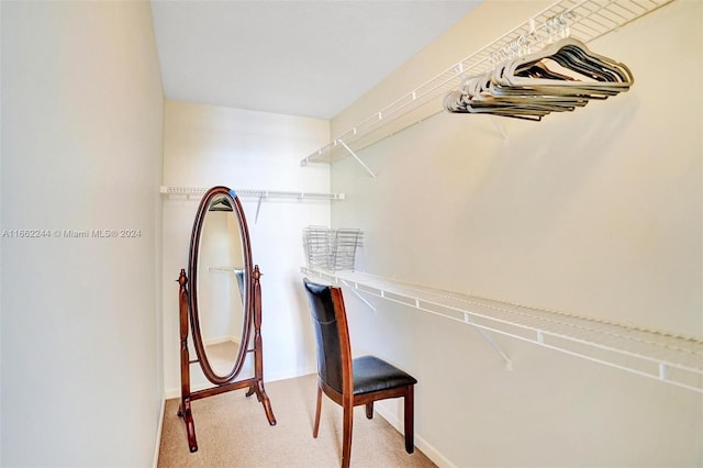 spacious closet with carpet flooring