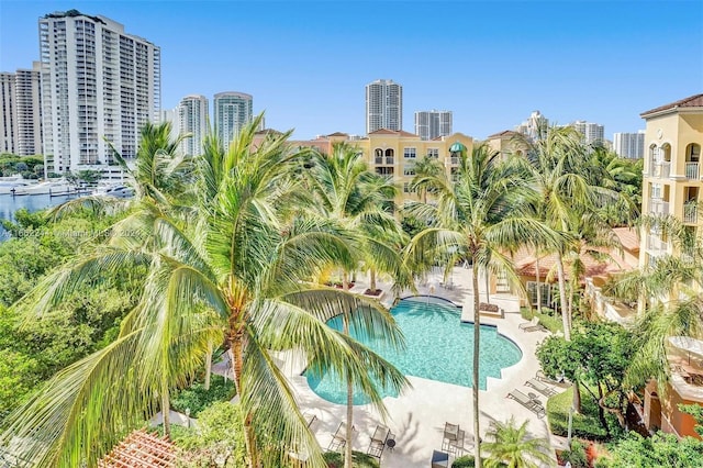 view of pool with a patio