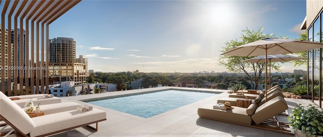 view of swimming pool featuring a patio area