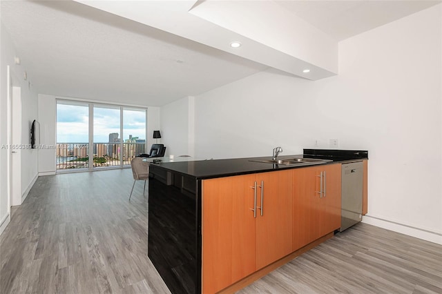 kitchen with dishwasher, light hardwood / wood-style floors, sink, and expansive windows