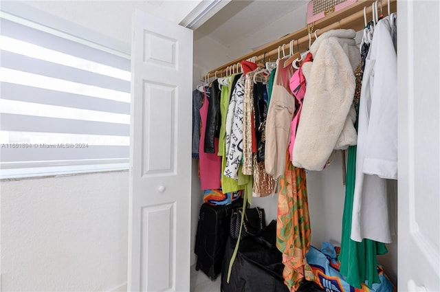 view of closet