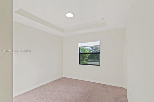 carpeted spare room with a tray ceiling