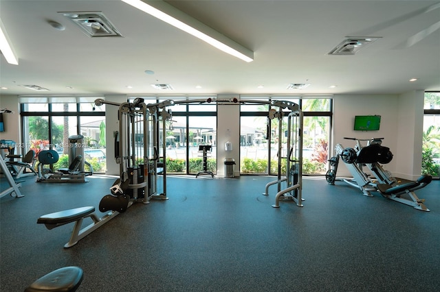 gym with expansive windows