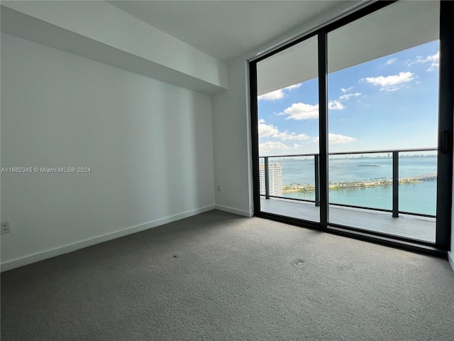 carpeted spare room featuring a water view and a healthy amount of sunlight