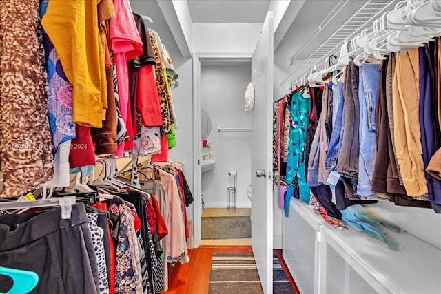 walk in closet with wood-type flooring