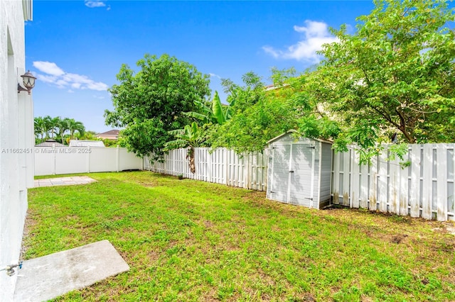 view of yard featuring a shed