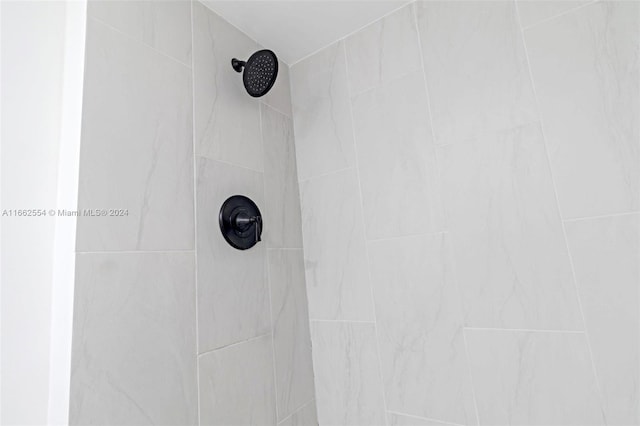 room details with tiled shower