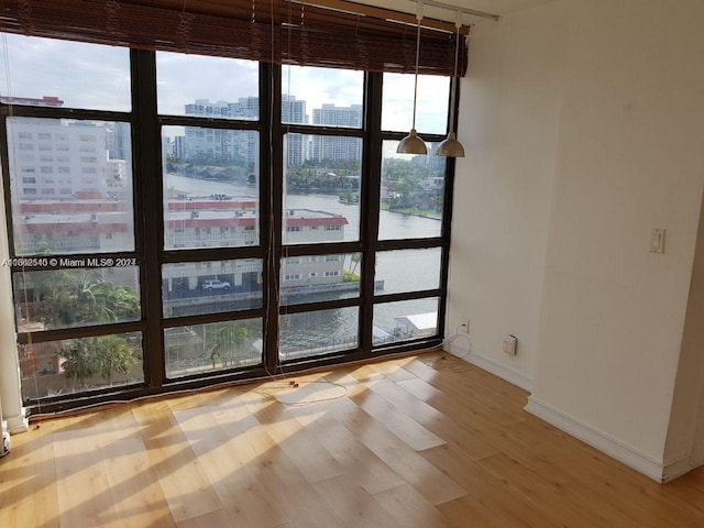 unfurnished room with plenty of natural light, light hardwood / wood-style floors, and a water view