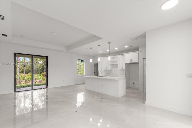 interior space with a raised ceiling and sink