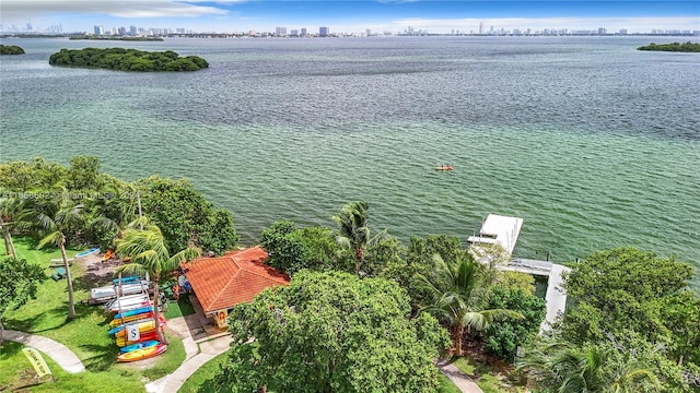 drone / aerial view with a water view and a view of city
