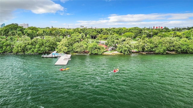 view of water feature with a floating dock