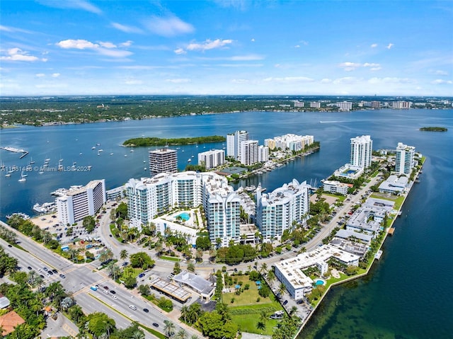 aerial view with a water view