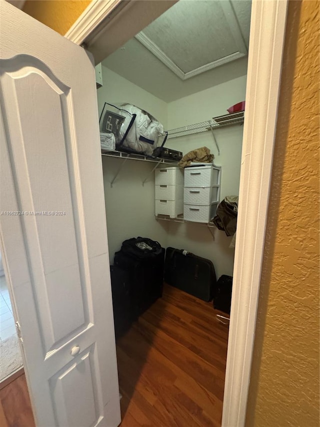 walk in closet featuring dark hardwood / wood-style flooring