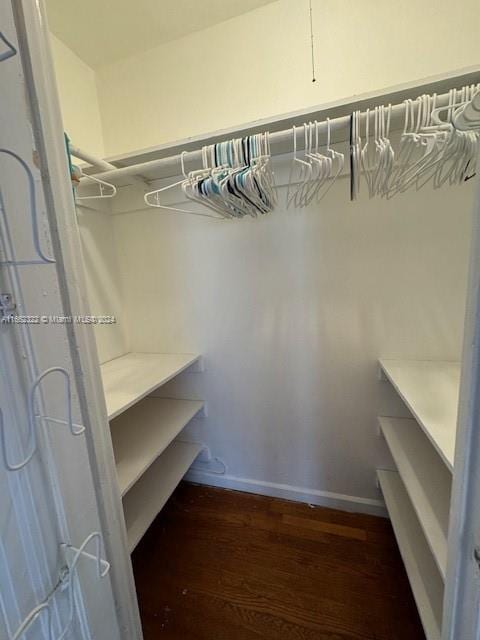 spacious closet featuring dark hardwood / wood-style floors