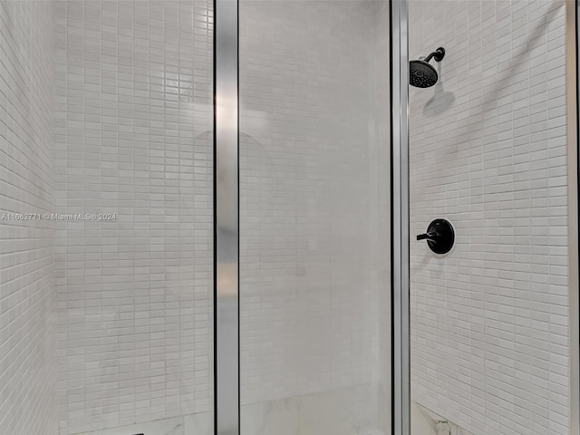 details with a shower with shower door