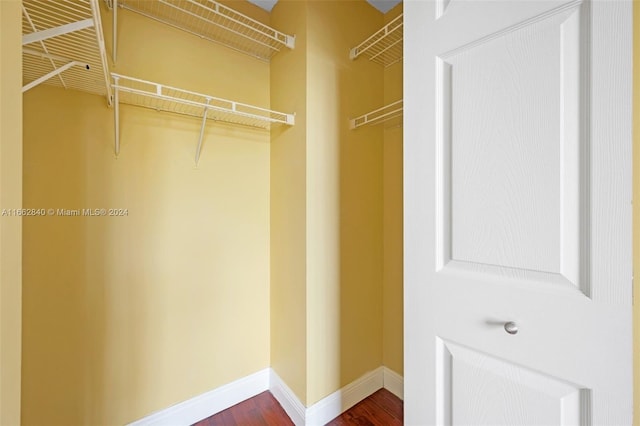 spacious closet with hardwood / wood-style flooring