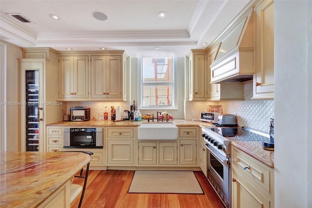 kitchen featuring cream cabinets, stainless steel appliances, sink, and a tray ceiling