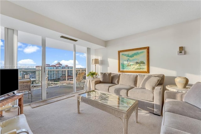 living room featuring carpet