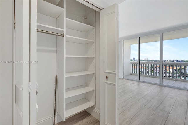 view of closet