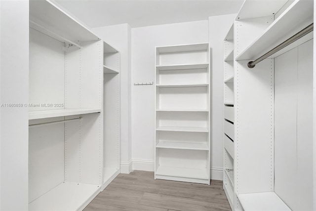 walk in closet with light wood-style flooring