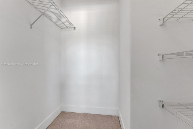 spacious closet with carpet floors