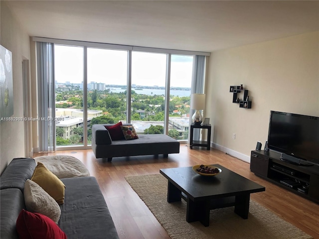 living room featuring light hardwood / wood-style flooring and expansive windows