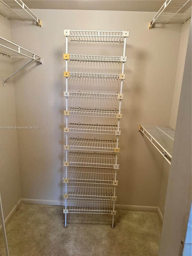 spacious closet with carpet