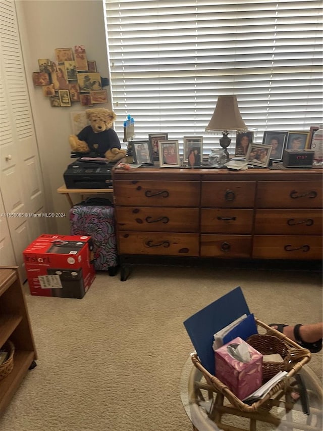 carpeted bedroom featuring a closet