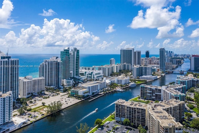 aerial view with a water view