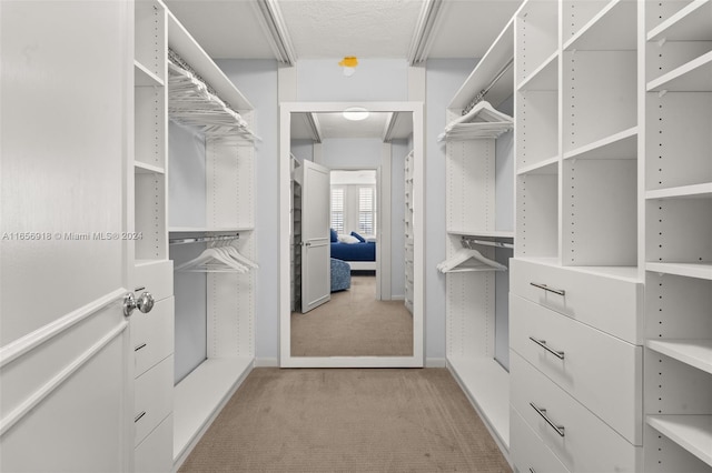 walk in closet featuring light carpet