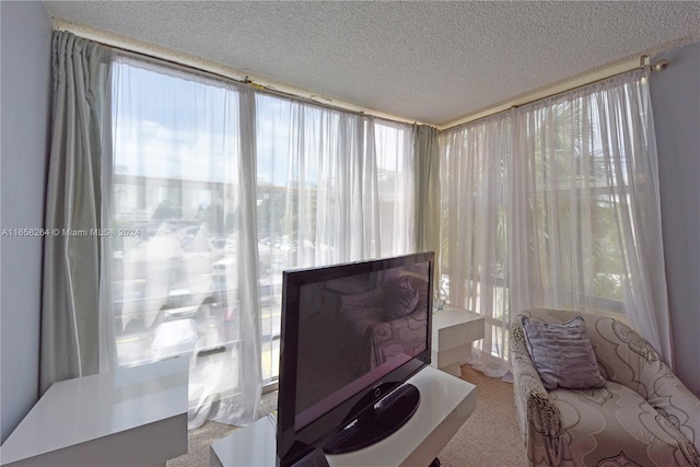 living room with a textured ceiling and light carpet