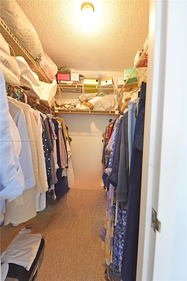 walk in closet featuring carpet flooring